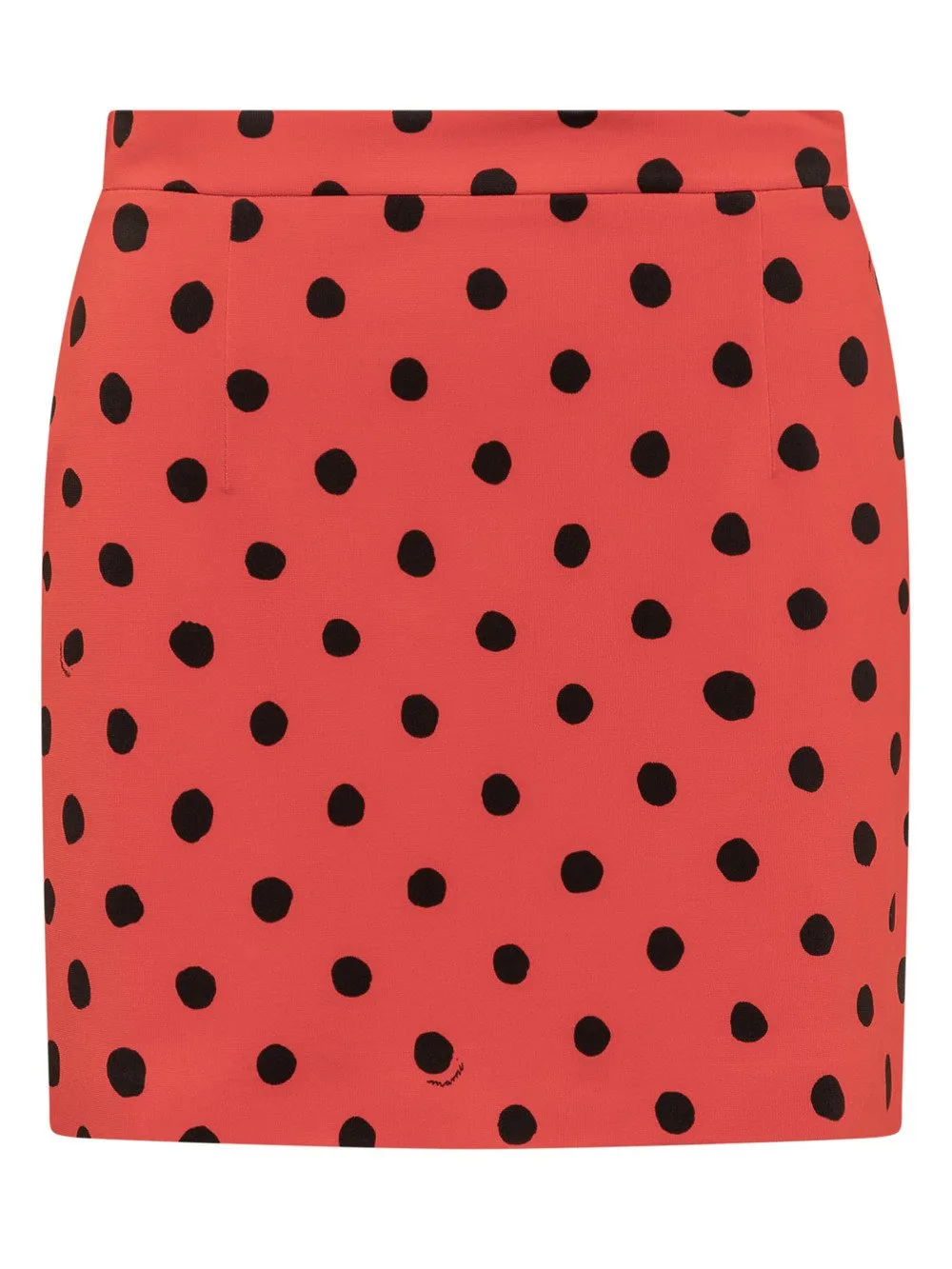 Polka Dot Skirt