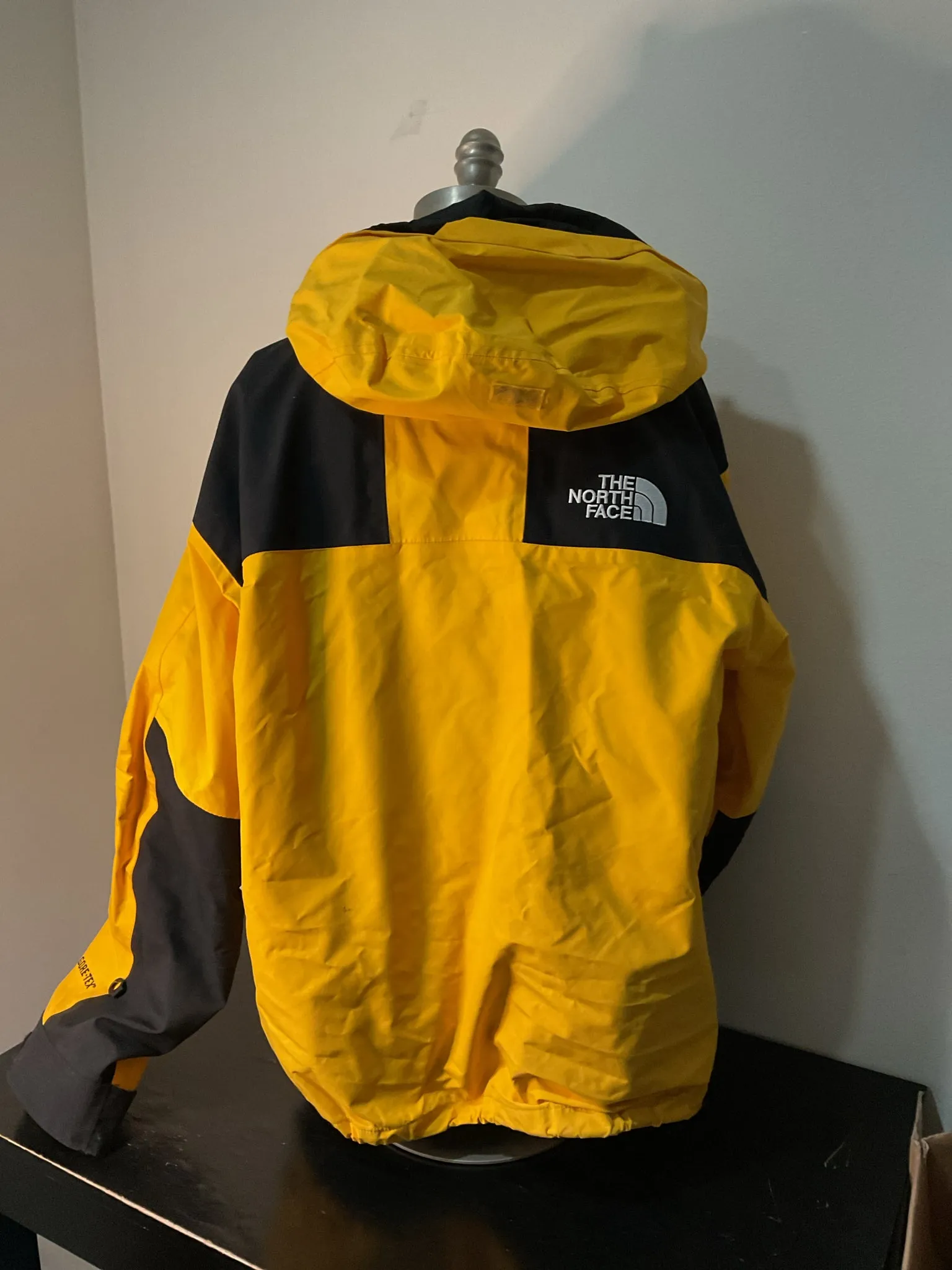 The North Face GTX Mountain Jacket Mens XL